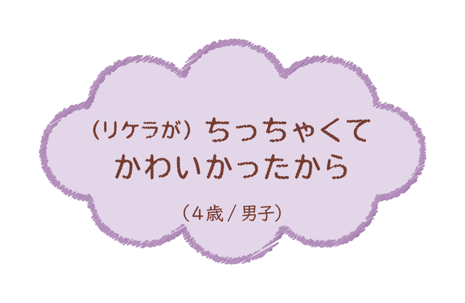 (リケラが)ちっちゃくてかわいかったから（4歳/男子）