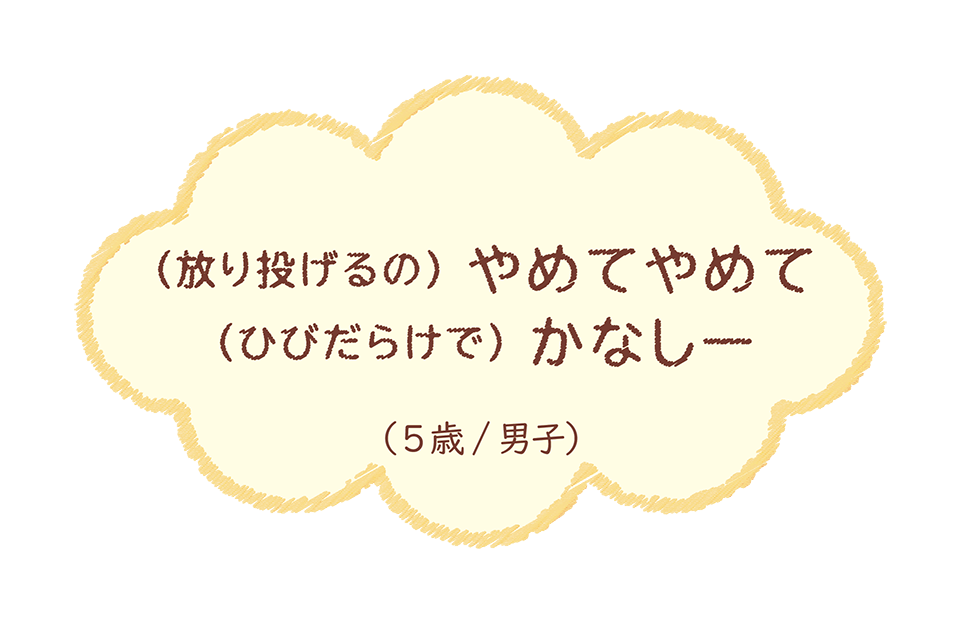 (放り投げるの)やめてやめて(ひびだらけで)かなしー（5歳/男子）