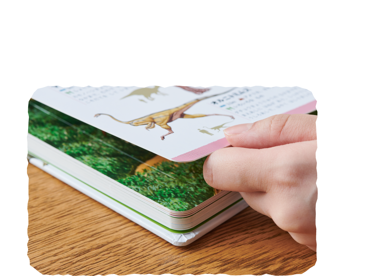 厚紙なので、しっかりとしていて丈夫です