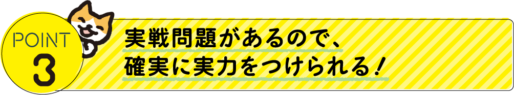 POINT 3:実戦問題があるので、確実に実力をつけられる！