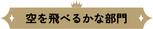 空を飛べるかな部門