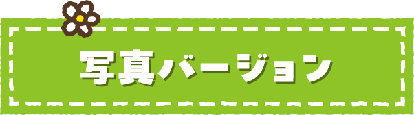 写真バージョン