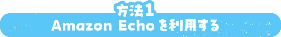 方法１Amazon Echoを利用する
