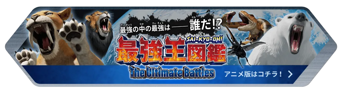 最強王アニメサイト