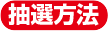 抽選方法