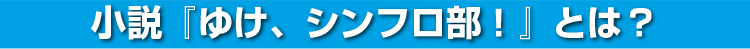 小説『ゆけ、シンフロ部!』とは？